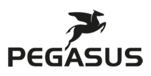 Pegasus